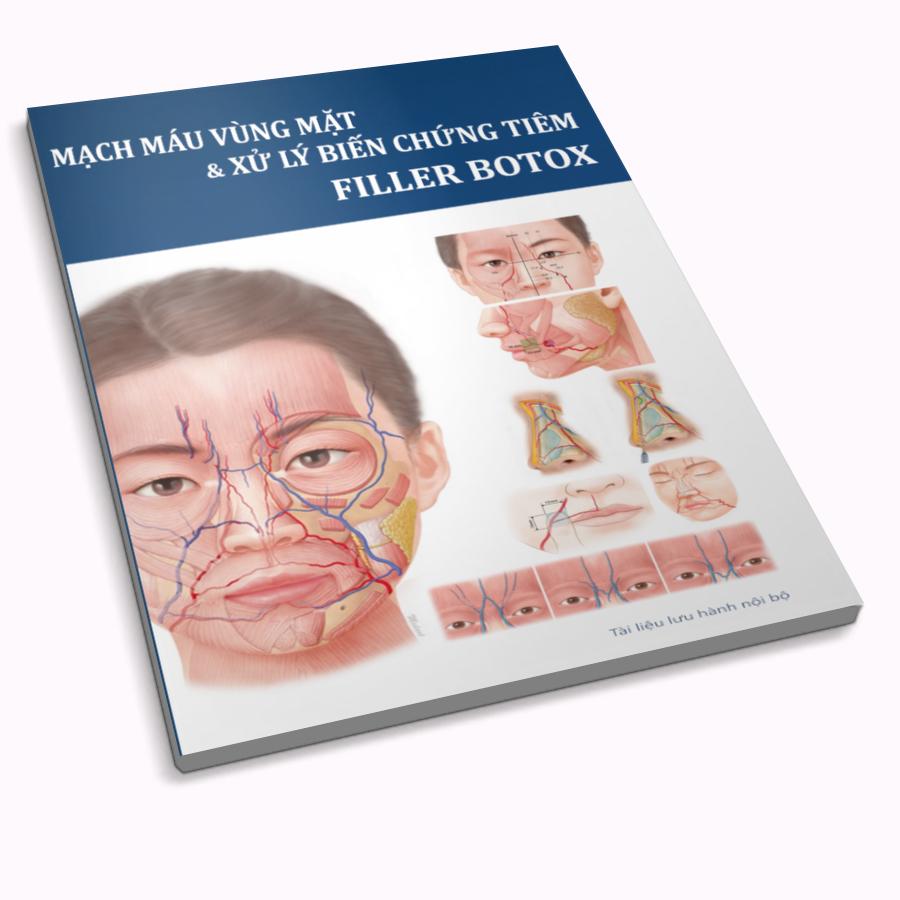 Mạch máu vùng mặt và xử lý biến chứng tiêm Filler B0 t0x
